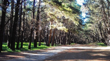 El viento será protagonista este miércoles en Necochea: máxima de 23°C y cielo parcialmente nublado