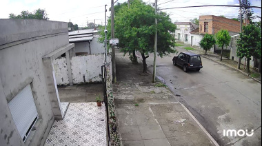 Atropelló a una perra en avenida 42 y escapó: buscan al conductor de una Suzuki Vitara