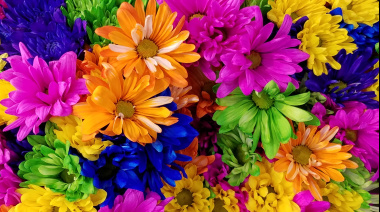 Se realiza una nueva edición de “Necochea Florece” con venta solidaria de plantines