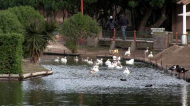 Comienza una transformación en el Lago de los Cisnes