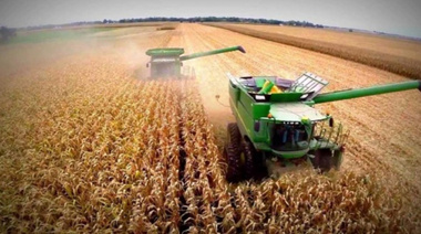 Estiman que el maíz le “robará” un millón de hectáreas a la soja