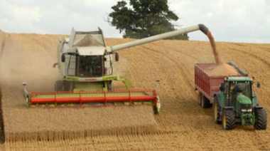 Record de cosecha en el país gracias al desempeño del maíz, el trigo y la soja
