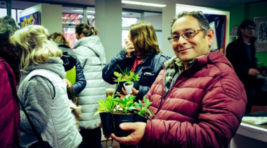 Se viene la tercera “liberación de plantines” de lechuga y ciboulette