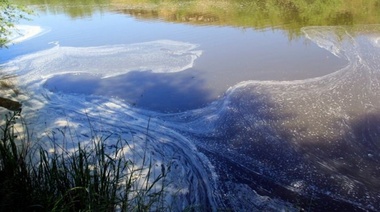 Ambientalistas publicaron imágenes de la contaminación en el Río Quequén