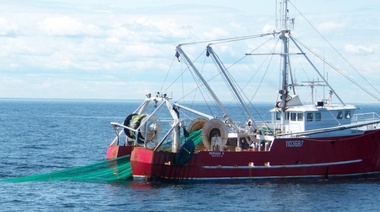 Se abre la inscripción para permisos de Pesca Comercial y Artesanal
