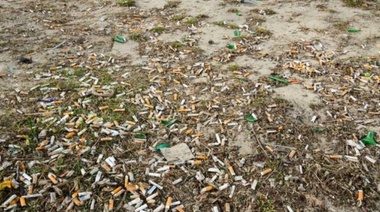 Jornada de limpieza en la playa: juntan colillas que se reciclan como ladrillos ecológicos