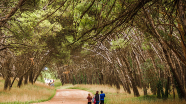 Lanzan campaña para declarar al Parque Miguel Lillo como “Paisaje protegido”