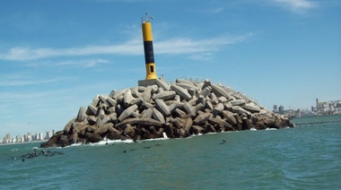 Greenpeace encendió el alerta sobre el estado del Mar Argentino: "Parece un bosque arrasado"