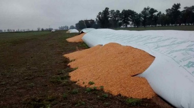 Concejo Deliberante: impulsan reforma contravencional contra la rotura de silo bolsas