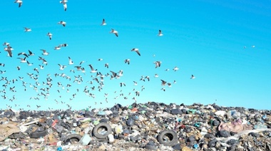 Ambientalistas presentaron documento al municipio para que se intervenga en la problemática del basural a cielo abierto