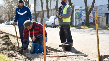 Comenzaron las obras que incluyen la construcción de "aulas abiertas" en la avenida 58