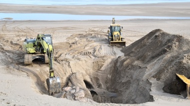 La ballena quedó sepultada en nuestras playas
