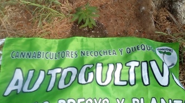 En el Parque se hizo el "plantón cannábico 2020"