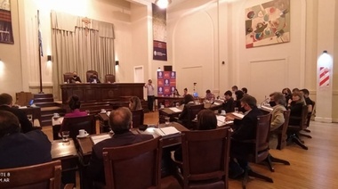 Ley de Cannabis Medicinal: el Concejo aprobó la creación de un registro municipal