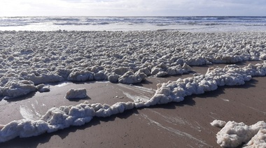 Particular imágen en Mar del Plata: el mar repleto de espuma