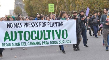 Se reglamentó el Registro para plantar o adquirir cannabis bajo prescripción médica
