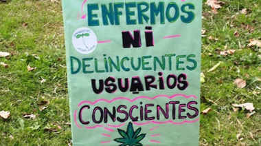 Detuvieron a un cultivador local: fuerte repudio de la asociación de cannabicultores