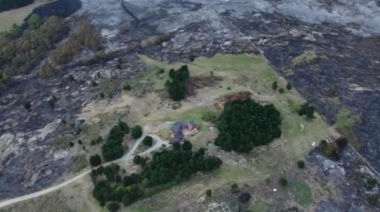 Incendios Forestales: Lograron controlar las extremas llamas en Tandil