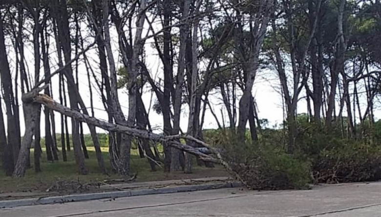 El temporal dejó voladuras de techos y personas evacuadas