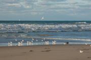 Necochea, a la espera de un viernes lluvioso. Conocé el clima para este viernes