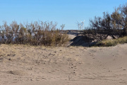 Frío extremo y ráfagas intensas en Necochea: miércoles con sensación térmica bajo cero