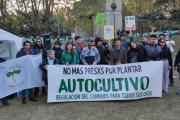 Marcha por la Marihuana en Necochea: Llamado urgente por la aplicación de ordenanza local y alerta nacional