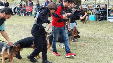 Éxito total: Ovejeros alemanes se lucieron en la Competencia Nacional en Necochea