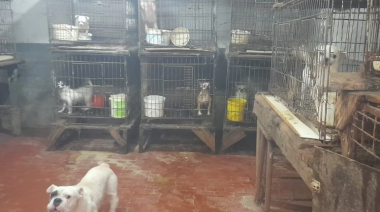 Rescatan 600 animales de un criadero clandestino en Adrogué