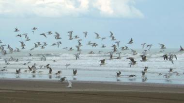 Necochea: así estará el clima este domingo, con mínima de 9° y sin lluvias