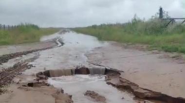 鈥淐aminos olvidados y tasas altas鈥: el abandono del interior rural de Necochea