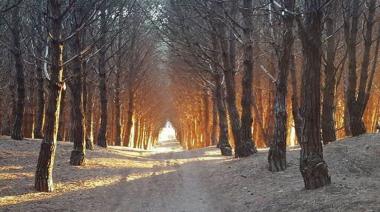 Necochea: Clima parcialmente nublado y sin lluvias para el 22 de mayo