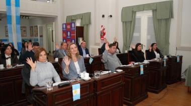 Mientras Necochea espera, el Concejo sigue enfocado en la agenda nacional