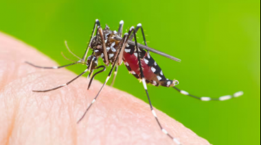 San Cayetano confirmó su primer caso de dengue importado
