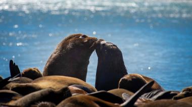 Jueves con cielo algo nublado y sin lluvias en Necochea