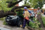 Alerta por vientos fuertes en Necochea: miércoles ventoso con ráfagas de hasta 69 km/h