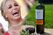 El vino argentino que conquistó el corazón de Britney Spears