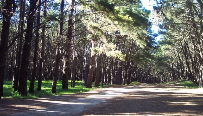 Ambientalistas piden la protección Provincial del Parque