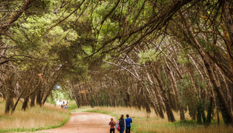 Lanzan campaña para declarar al Parque Miguel Lillo como “Paisaje protegido”