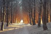 Necochea: Clima parcialmente nublado y sin lluvias para el 22 de mayo