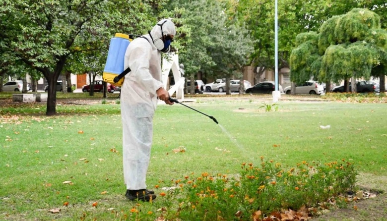 Tras la invasión de mosquitos, iniciaron procedimientos de fumigación en la ciudad
