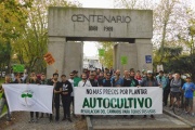 Necochea se suma a la marcha mundial de la Marihuana por una reforma integral