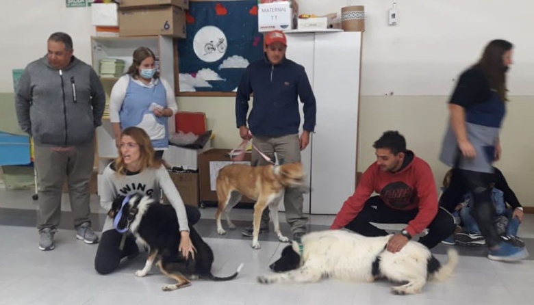 Guardería canina en San Cayetano: Su función y su metodología de trabajo