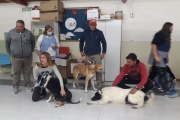 Guardería canina en San Cayetano: Su función y su metodología de trabajo