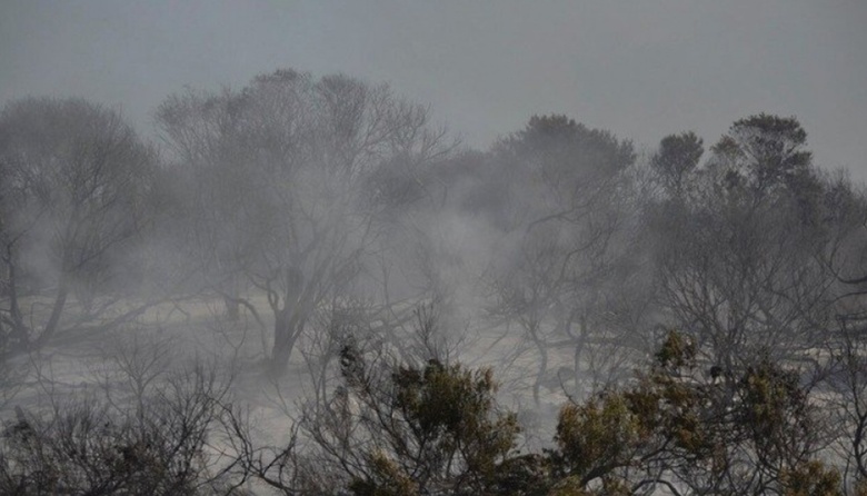 Miramar: controlaron el incendio aunque se perdieron 50 hectáreas
