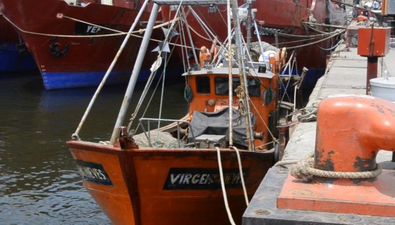 Reviviendo la tradición: Necochea se prepara para la anhelada Fiesta de los Pescadores