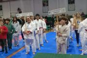 Formación Kinética de Necochea tuvo una gran participación en el Torneo Regional de Karate en Mar del Plata