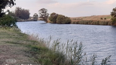 Ornitología en Necochea: ¿qué aves recorren la zona de la ribera?