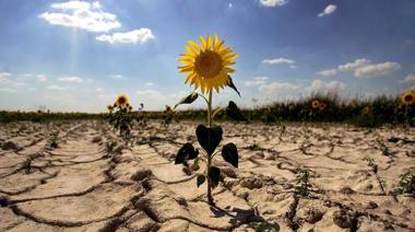 El cambio climático avanza sin freno: el planeta enfrenta consecuencias catastróficas