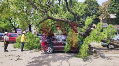 El viento ya causa complicaciones en Necochea: alerta amarilla por ráfagas de hasta 80 km/h