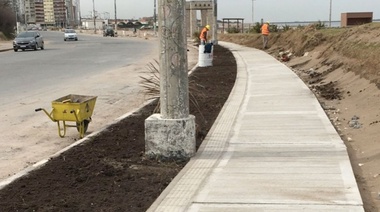 Mirá cómo avanza la remodelación en la Avenida 2